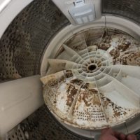 洗濯機内部の汚れ